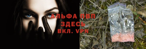 МДПВ Нефтегорск
