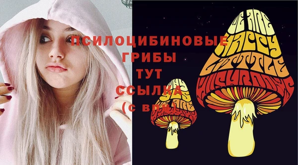 МДПВ Нефтегорск