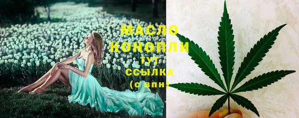 дмт Надым