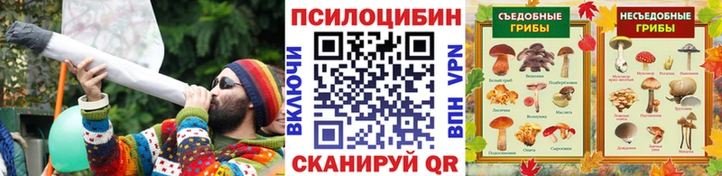 Галлюциногенные грибы ЛСД  Николаевск 