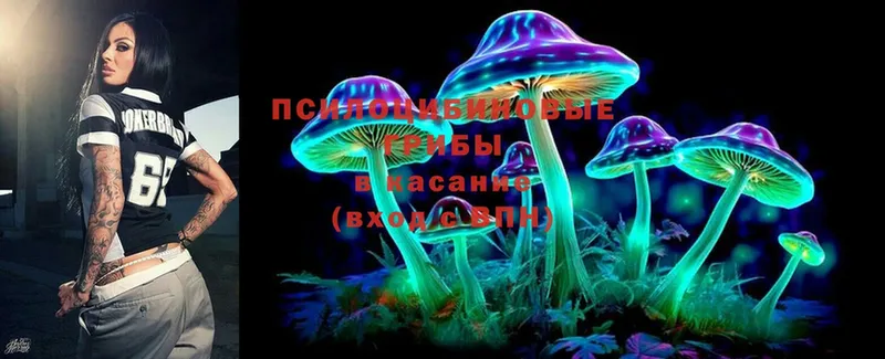 Псилоцибиновые грибы Psilocybine cubensis Николаевск